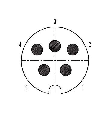 Disposición de los contactos (lado de la conexión) Bayoneta Conector de cable macho, Número de contactos: 5, 5,0-8,0 mm, blindable, soldadura, IP40