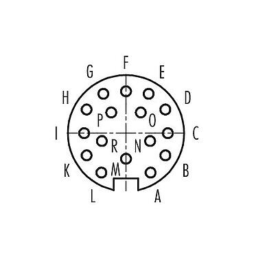 Polbild (Steckseite) 09 0338 00 16 - M16 Kabeldose, Polzahl: 16, 3,0-6,0 mm, ungeschirmt, löten, IP40