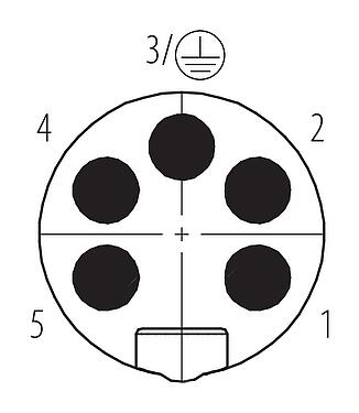 Contact arrangement (Plug-in side) 7/8" Male cable connector, Contacts: 4+PE, 10.0-12.0 mm, unshielded, screw clamp, IP67, UL 2238, VDE