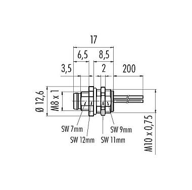 Scale drawing 09 3421 00 04 - M8 Male panel mount connector, Contacts: 4, unshielded, single wires, IP67, M10x0.75
