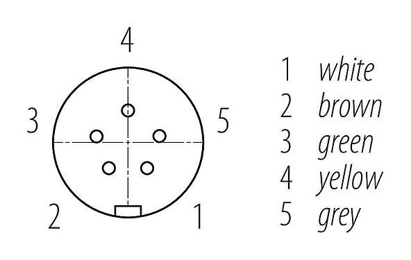 Contact arrangement (Plug-in side) Snap-In Female cable connector, Contacts: 5, unshielded, moulded on the cable, IP67, UL 2238, PUR, black, 5 x 0.75 mm², 2 m