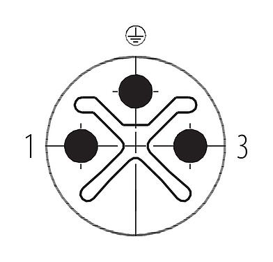 Disposition des contacts (Côté plug-in) M12 Connecteur mâle, Contacts: 2+PE, 8,0-10,0 mm, non blindé, pince à visser, IP67, UL 2238