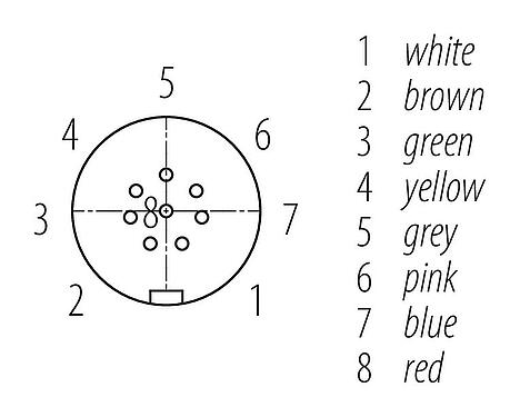 Contact arrangement (Plug-in side) Snap-In Female cable connector, Contacts: 8, unshielded, moulded on the cable, IP67, UL 2238, PUR, black, 8 x 0.25 mm², 2 m