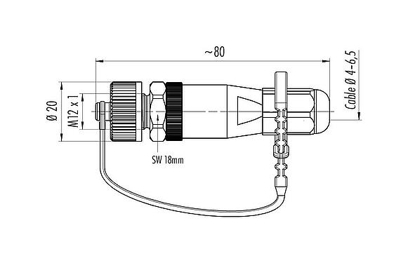 Dessin coté M12 Connecteur mâle, Contacts: 5, 4,0-6,5 mm, non blindé, pince à visser, IP68/IP69K, pour les applications extérieures, résistant aux UV
