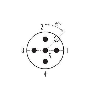 Disposizione dei contatti (lato connessione) 99 0433 500 05 - M12 Connettore maschio a flangia, Numero poli: 5, non schermato, morsetto a vite, IP67, UL, M20x1,5, per l'alimentazione elettrica