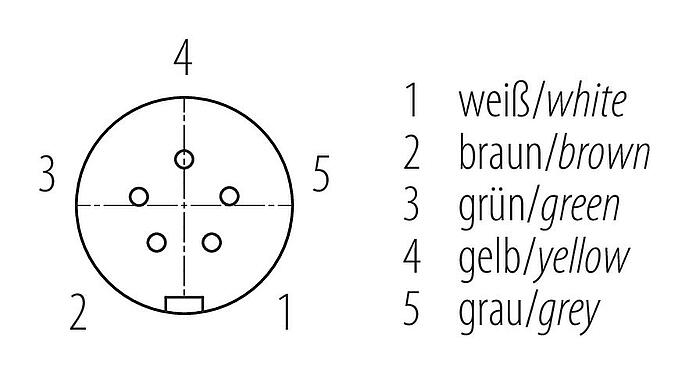 Disposición de los contactos (lado de la conexión) Snap-In Conector hembra en ángulo, Número de contactos: 5, 6,0-8,0 mm, sin blindaje, soldadura, IP67