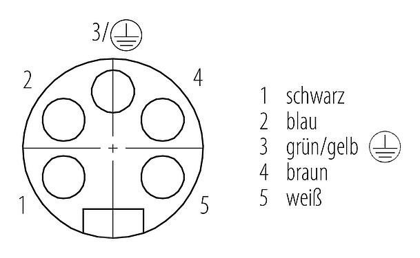 Polbild (Steckseite) 7/8" Flanschdose, Polzahl: 4+PE, ungeschirmt, Litzen, IP68, UL 2238, VDE, PG 13,5, Frontmontage