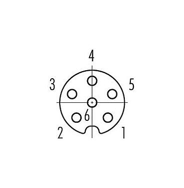 접점 배치(접속측) 09 3422 81 06 - M8 플랜지 리셉터클, 콘택트 렌즈: 6, 차폐 가능, THT, IP67, M10x0.75, 전면 마운팅